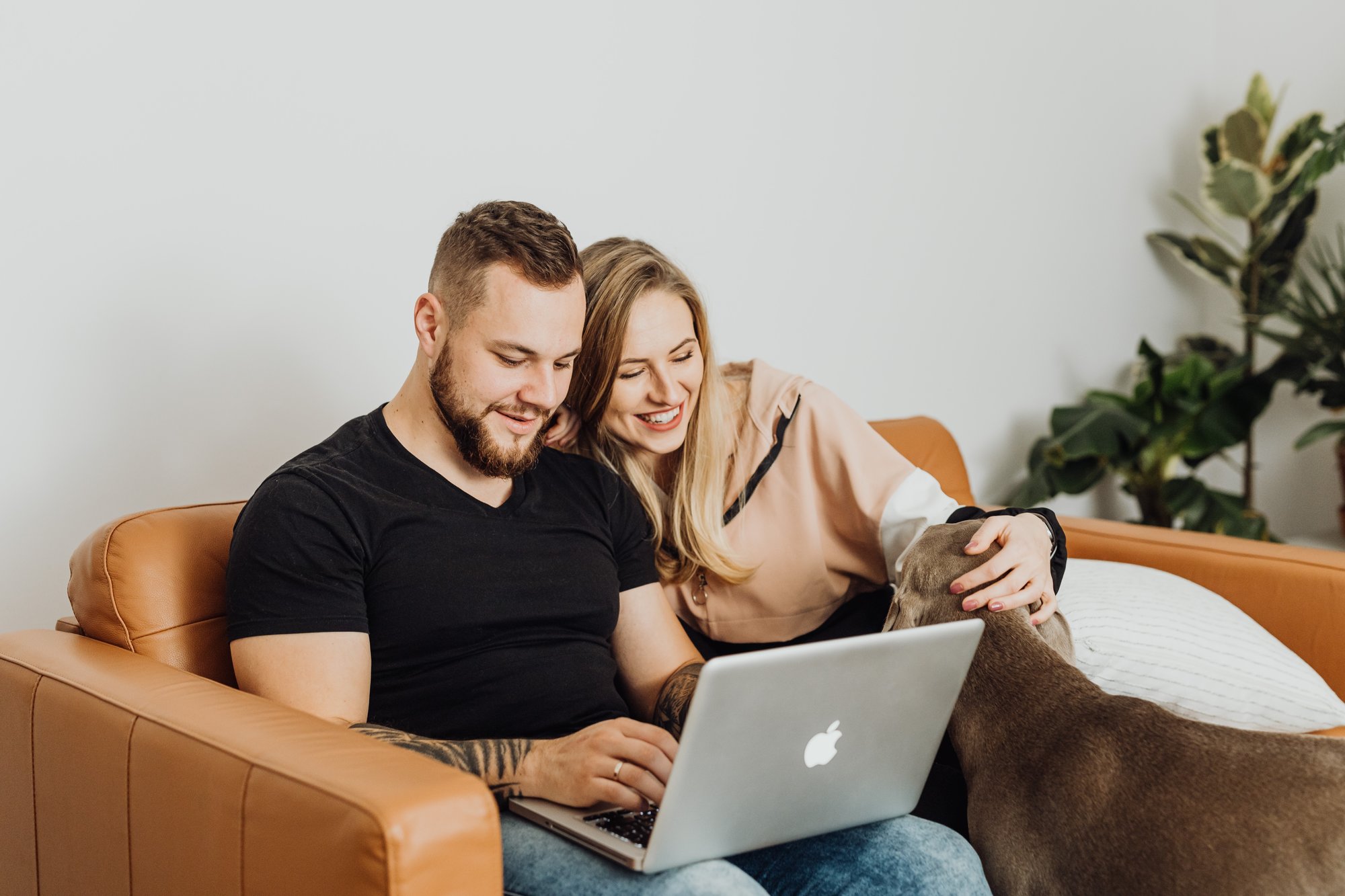 Couple with a dog looking at a laptop