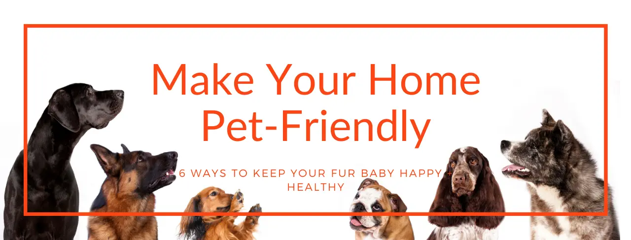 make your austin home pet friendly